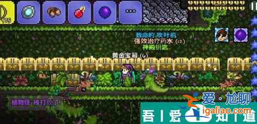 泰拉瑞亞的奇異植物怎么找 具體一覽？