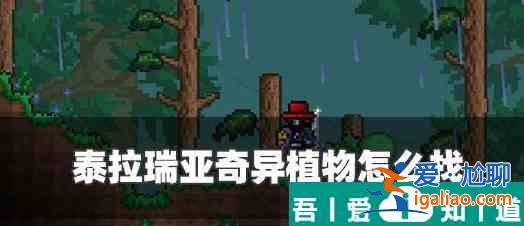泰拉瑞亞的奇異植物怎么找 具體一覽？