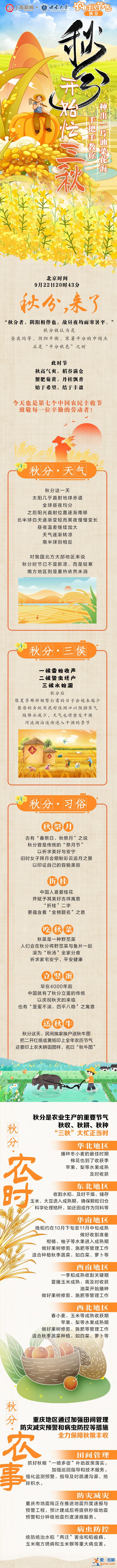 農(nóng)時(shí)說(shuō)節(jié)氣｜秋分開(kāi)始忙“三秋” 手把手教你種出一片油菜花海？