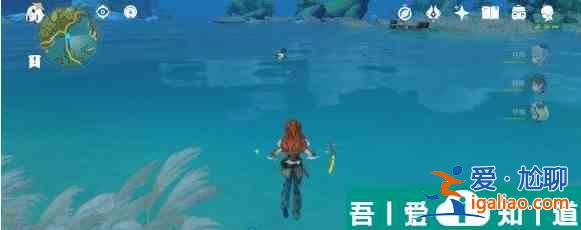 原神怎么把鴨子移走  原神鴨子出現(xiàn)地點(diǎn)推薦？