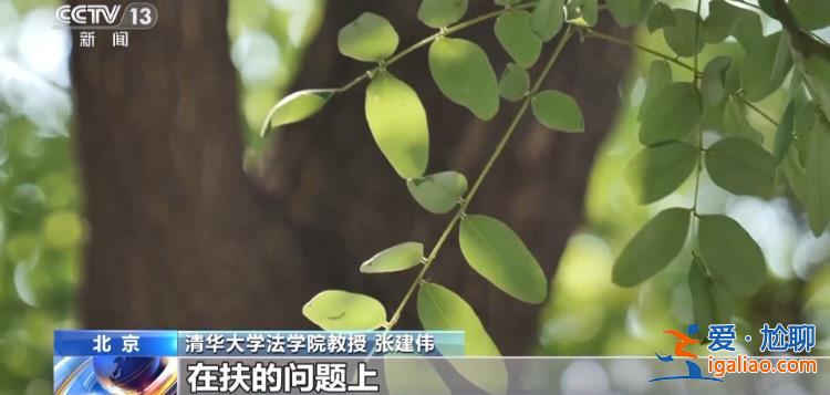 扶不扶？服！摔倒老人誣陷好心攙扶小伙被行拘？