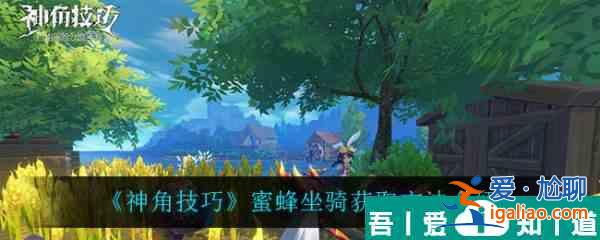 神角技巧蜜蜂坐騎怎么獲取 神角技巧蜜蜂坐騎獲取方法介紹？