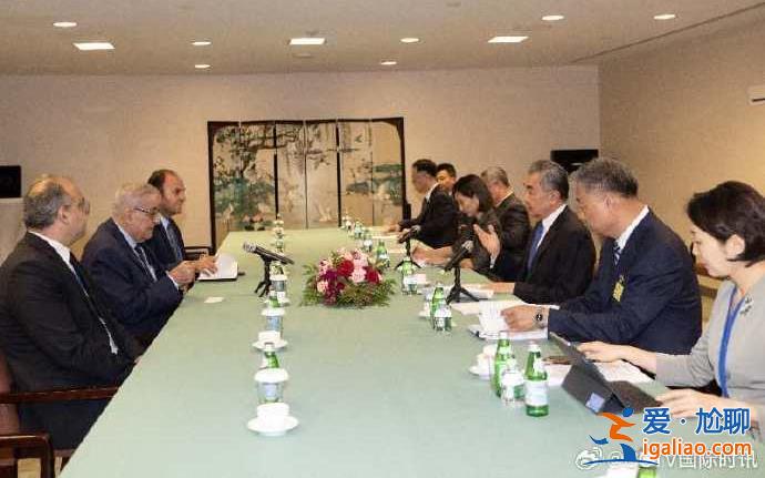 王毅會見黎巴嫩外長 重點就中東局勢交換意見？