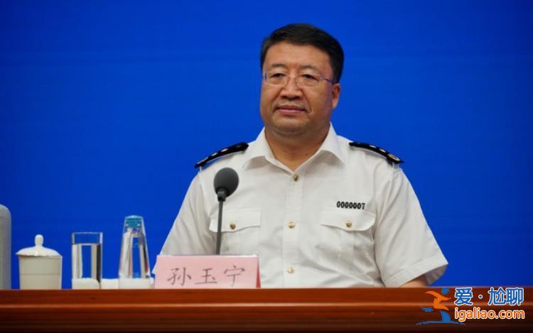 海關總署副署長孫玉寧被查？
