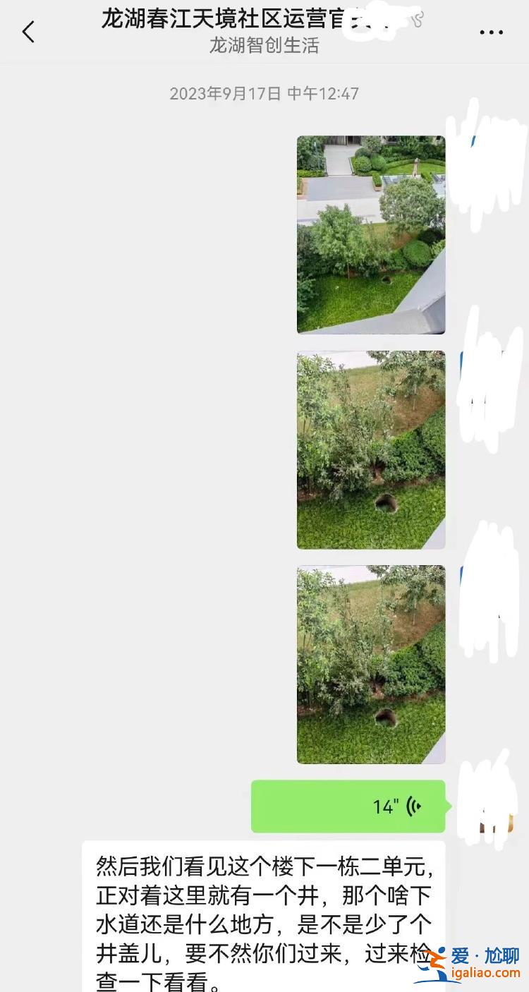 井口僅用膠合板覆蓋 8歲女童身亡？