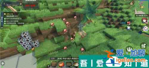 神角技巧遺忘之島七個墓碑位置介紹 具體一覽？