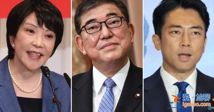 日本自民黨總裁選舉“三足鼎立” 派閥運(yùn)作下黨內(nèi)三大佬或成關(guān)鍵？