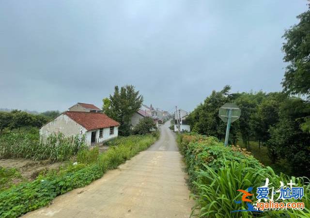 江蘇南通25歲遇害女村干部系家中獨(dú)女 案發(fā)當(dāng)天獨(dú)自留下來(lái)加班？