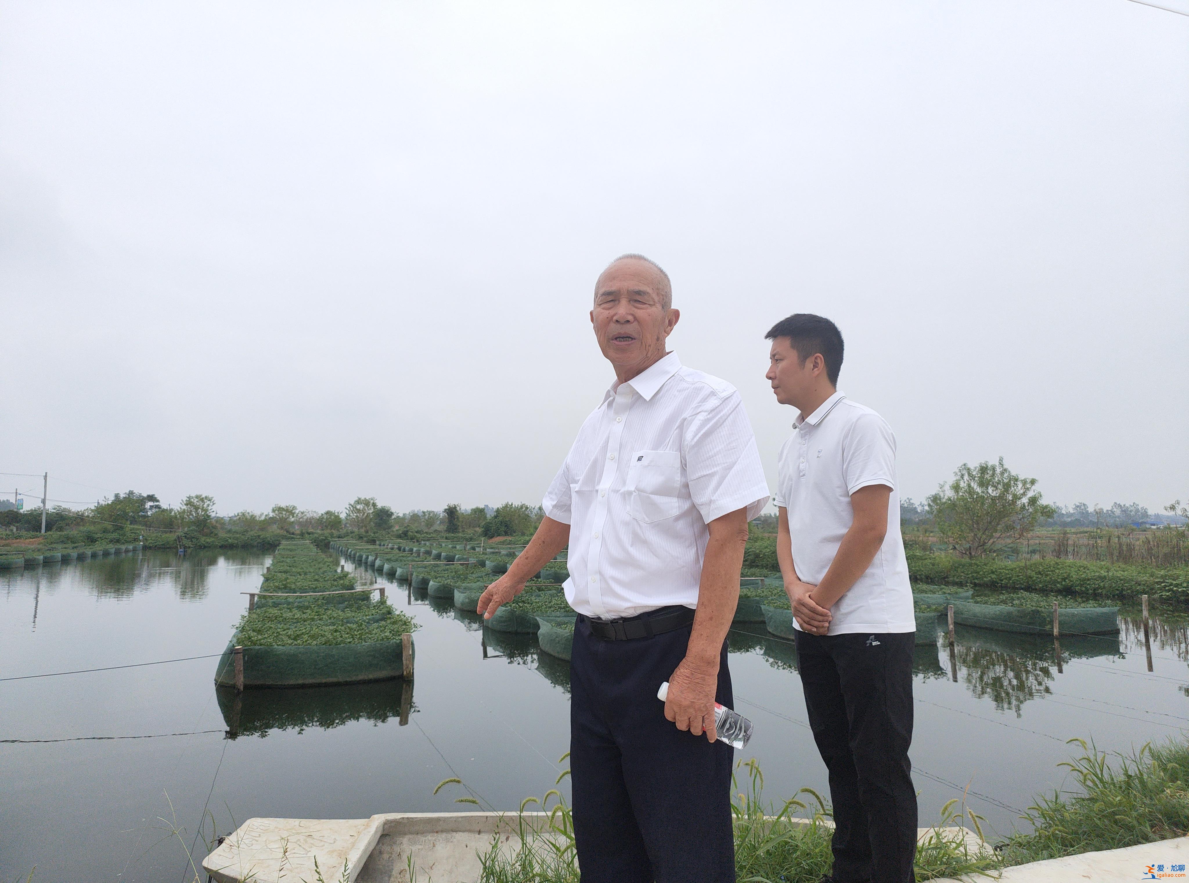 希望的田野丨“全國(guó)黃鱔第一村” 靠創(chuàng)新打造價(jià)格指數(shù)？