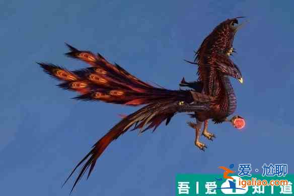 妄想山海金烏吞噬什么屬性 具體一覽？