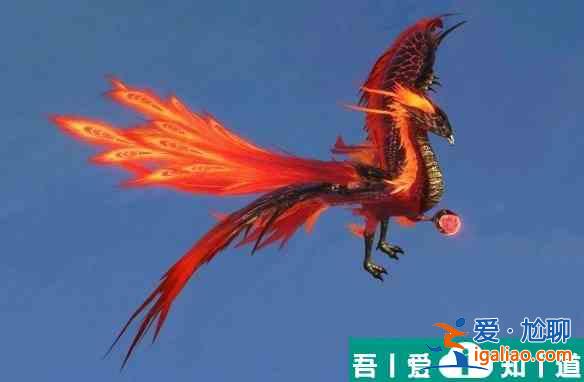妄想山海金烏吞噬什么屬性 具體一覽？