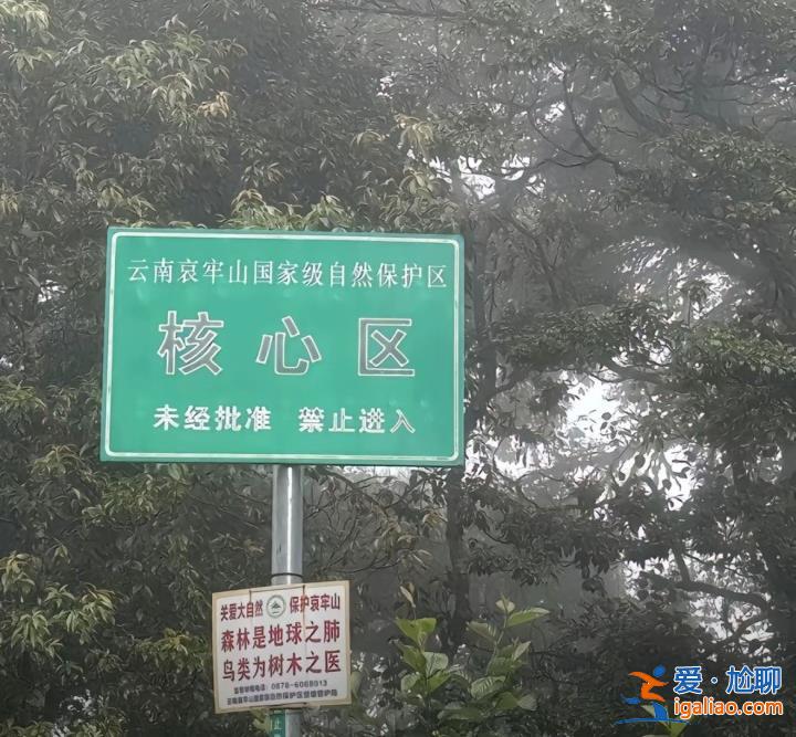 “禁區(qū)”變“景區(qū)”？云南哀牢山一夜爆火 當(dāng)?shù)匕l(fā)布安全提示？