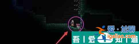 泰拉瑞亞怎么制作吸血扇 打法攻略？