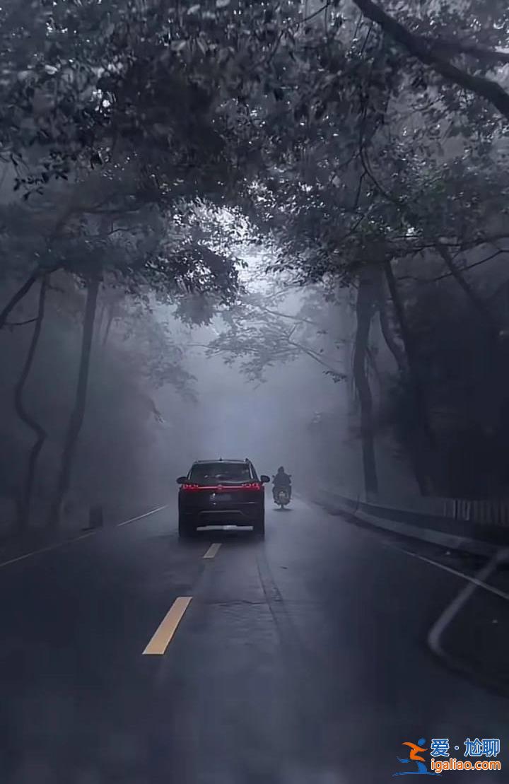 “禁區(qū)”變“景區(qū)”？云南哀牢山一夜爆火 當(dāng)?shù)匕l(fā)布安全提示？