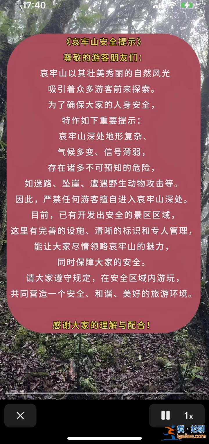 爆火的哀牢山到底有多兇險(xiǎn)？曾發(fā)生多起人員失聯(lián)遇難？