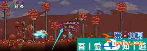 泰拉瑞亞怎么制作吸血扇 打法攻略？
