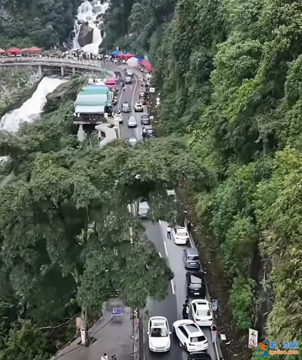 爆火的哀牢山到底有多兇險(xiǎn)？曾發(fā)生多起人員失聯(lián)遇難？
