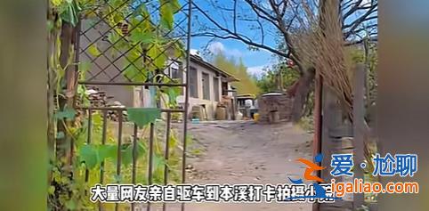 東北雨姐刪除道歉視頻 賬號七天未更新 網(wǎng)友稱拍攝基地已人去房空？