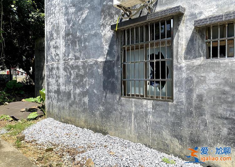 廣東陽春血案背后 一場地界“模糊”的土地糾紛？