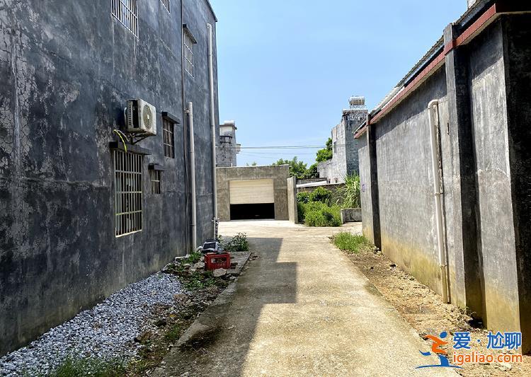 廣東陽春血案背后 一場地界“模糊”的土地糾紛？
