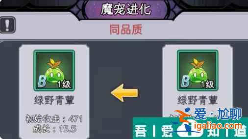 勇闖女巫塔魔寵怎么打 勇闖女巫塔魔寵攻略？