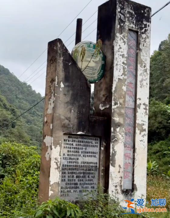 公告2022年就已發(fā)布？