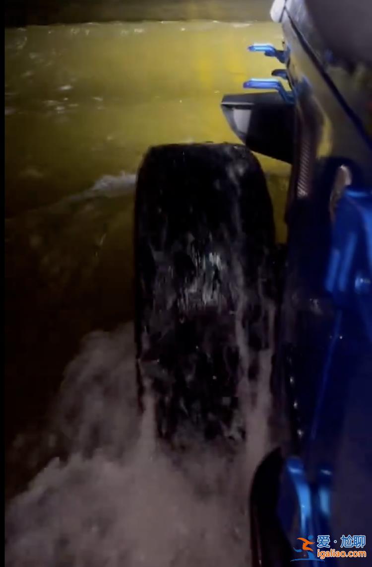 積水沒過車胎小半 樹被折彎？