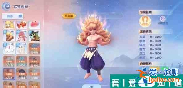 仙境傳說(shuō)愛(ài)如初見(jiàn)傳說(shuō)寵物哪個(gè)好 傳說(shuō)寵物選擇推薦？