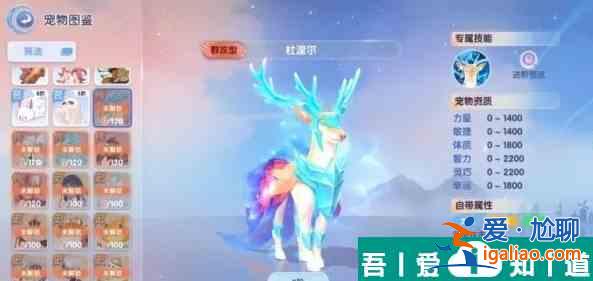 仙境傳說(shuō)愛(ài)如初見(jiàn)傳說(shuō)寵物哪個(gè)好 傳說(shuō)寵物選擇推薦？