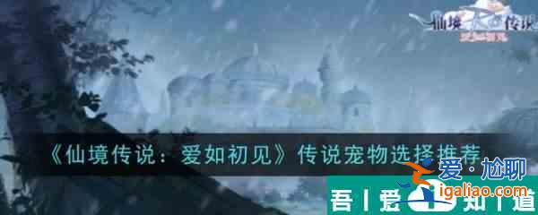 仙境傳說(shuō)愛(ài)如初見(jiàn)傳說(shuō)寵物哪個(gè)好 傳說(shuō)寵物選擇推薦？