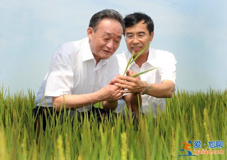 吳邦國同志生平照片？