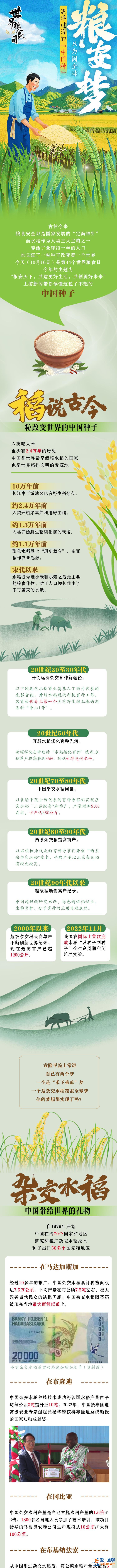 世界糧食日｜漂洋過海的“中國種” 只為圓全球“糧安夢”？