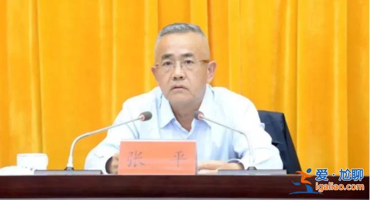 “內(nèi)鬼”張平被決定逮捕！長期與私營企業(yè)主深度“捆綁”？