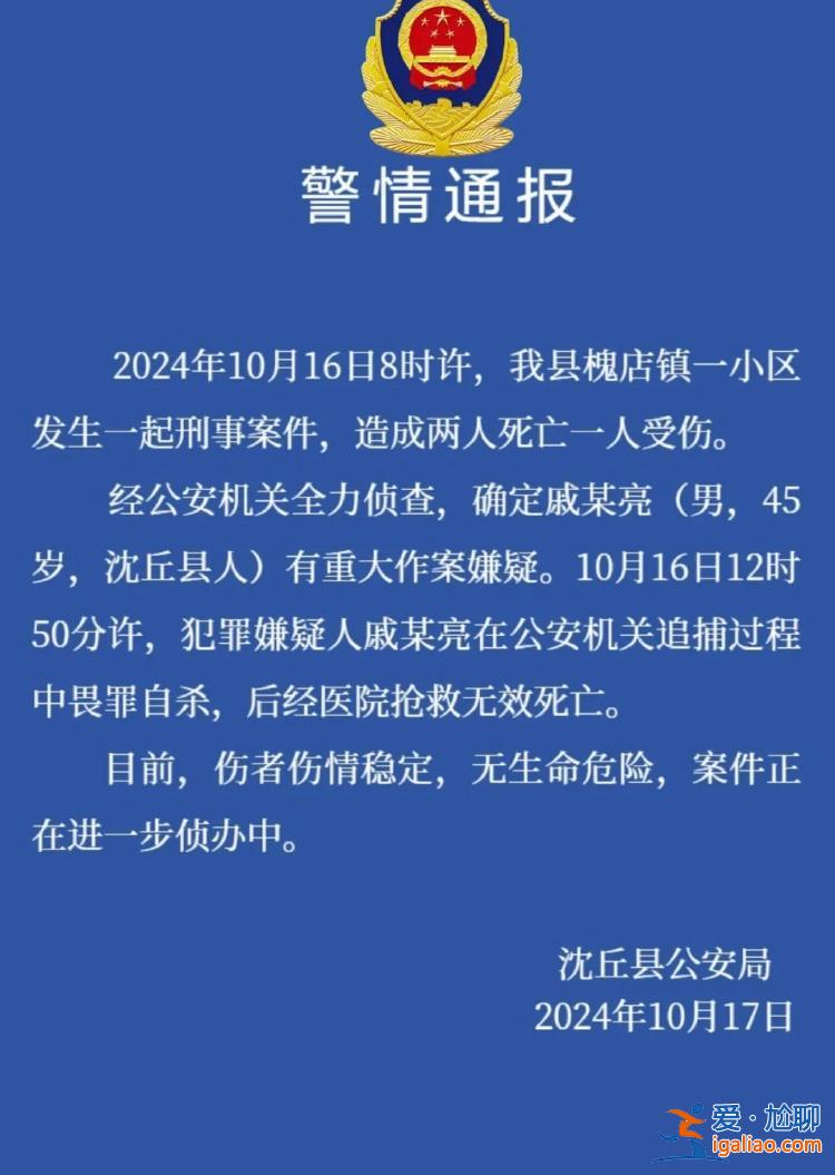 河南沈丘一小區(qū)發(fā)生刑案致2死1傷 嫌犯在圍捕過程中畏罪自殺？