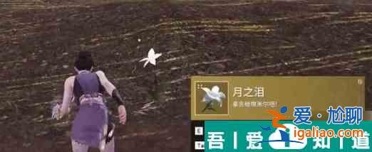 永劫無間尼爾聯(lián)動螺絲怎么獲得 永劫無間尼爾聯(lián)動螺絲獲取攻略？
