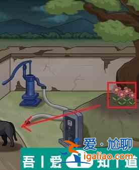 看你怎么秀出不去的家怎么過 看你怎么秀出不去的家通關(guān)攻略？
