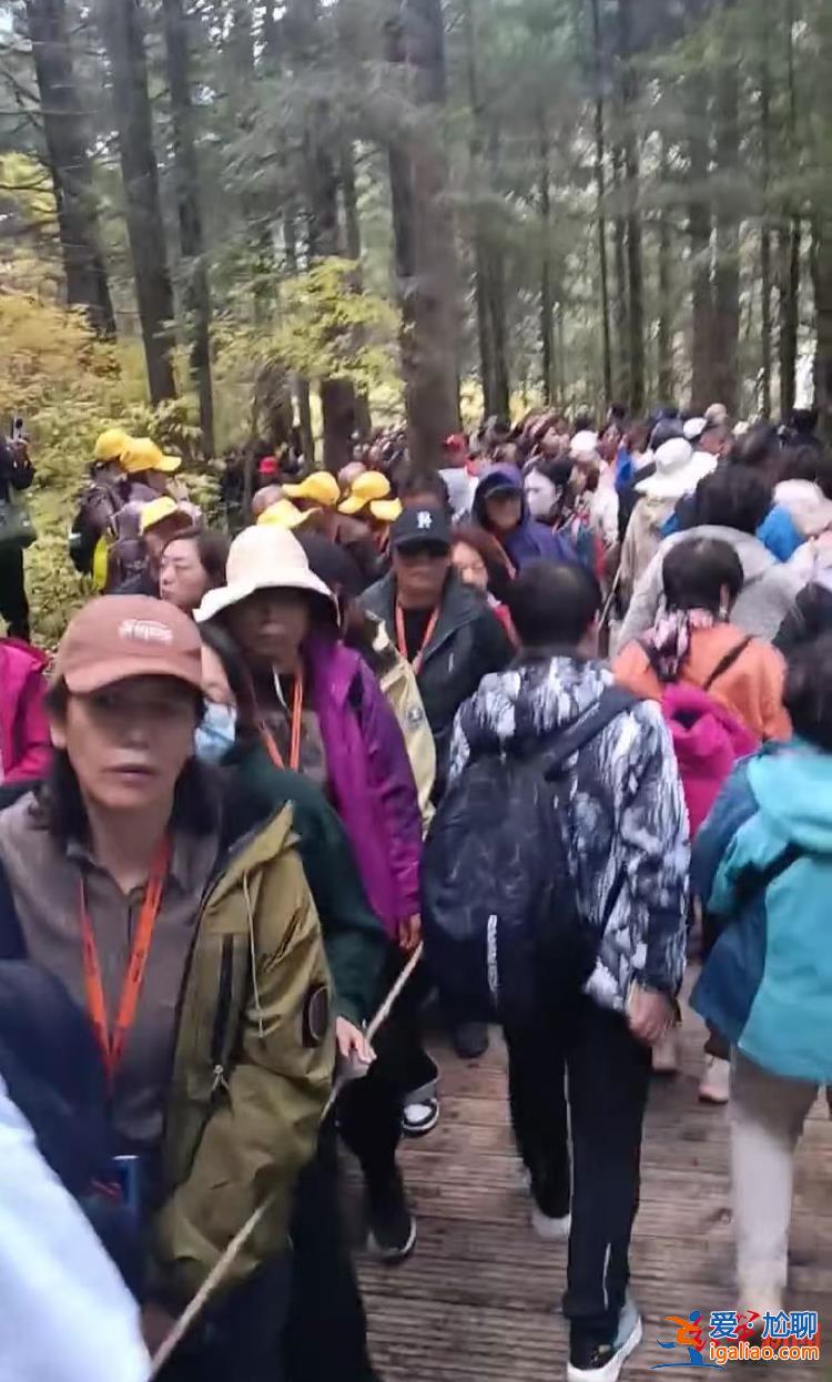 事發(fā)當(dāng)天已恢復(fù)正常運(yùn)行？