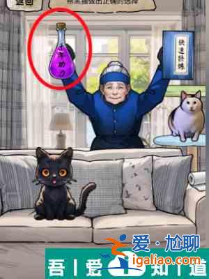 隱秘的檔案貓妖傳怎么通關(guān) 貓妖傳通關(guān)攻略？