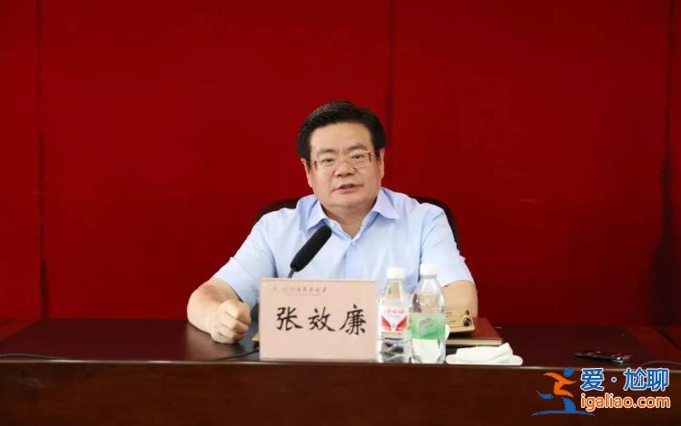 十三屆全國(guó)政協(xié)經(jīng)濟(jì)委員會(huì)副主任張效廉被查？