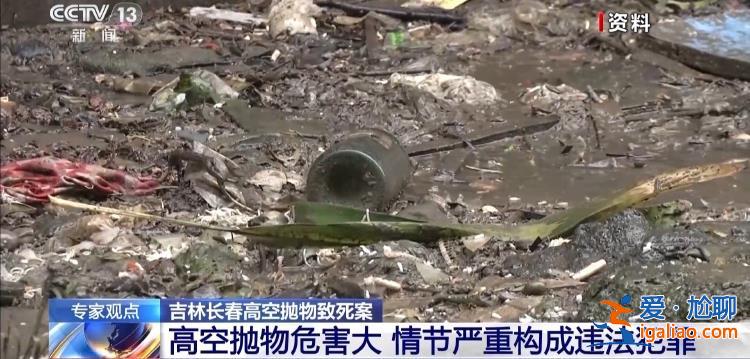 高空拋物致死案拋磚男子被核準(zhǔn)死刑 專家詳解法律依據(jù)？