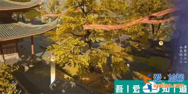 射雕登山觀禪成就怎么達成 射雕登山觀禪成就達成攻略？