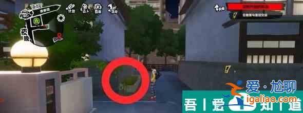 女神異聞錄夜幕魅影尋找橘貓茶太的寶物雜司谷位置在哪 具體一覽？