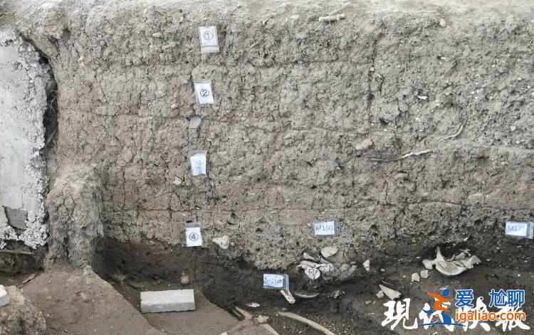 填補多項考古空白 江蘇常州金壇三星村遺址發(fā)掘助力華夏文明探源？