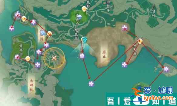 射雕風(fēng)華青蓮位置在哪 射雕風(fēng)華青蓮位置一覽？