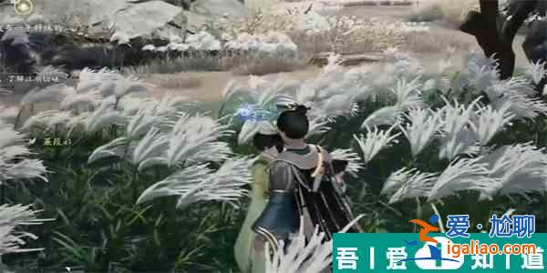射雕手游三蒹葭獲取方法是什么 具體一覽？
