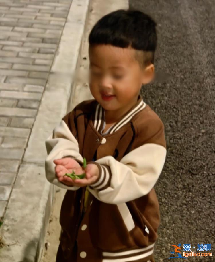 警方說監(jiān)控過于暴力 僅口頭轉(zhuǎn)述？
