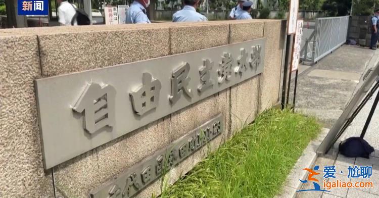 執(zhí)政聯(lián)盟眾議院選舉落敗 日本或面對多政黨共同執(zhí)政？