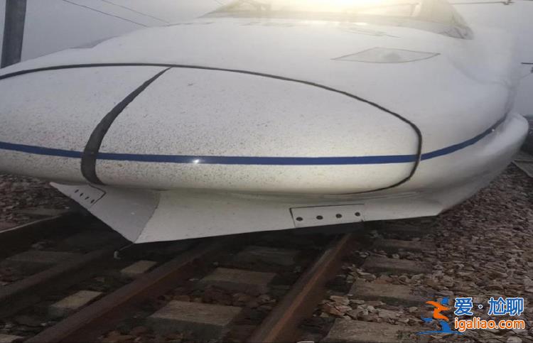 野豬撞上列車 機(jī)械師下車處置遭鄰線列車碰撞身亡 曾有野豬闖高鐵站？