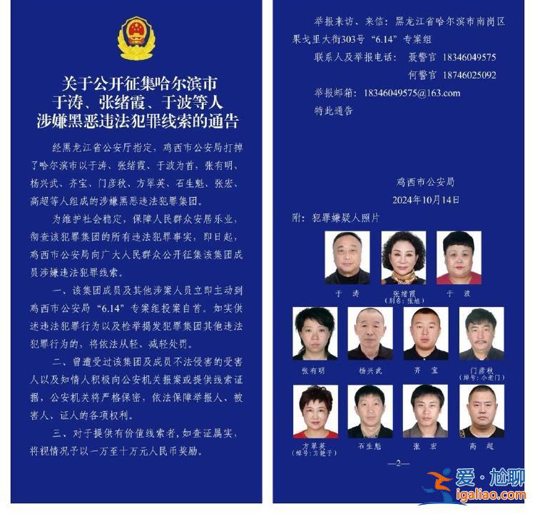 商業(yè)版圖涉30余家公司 二號(hào)人物在逃？