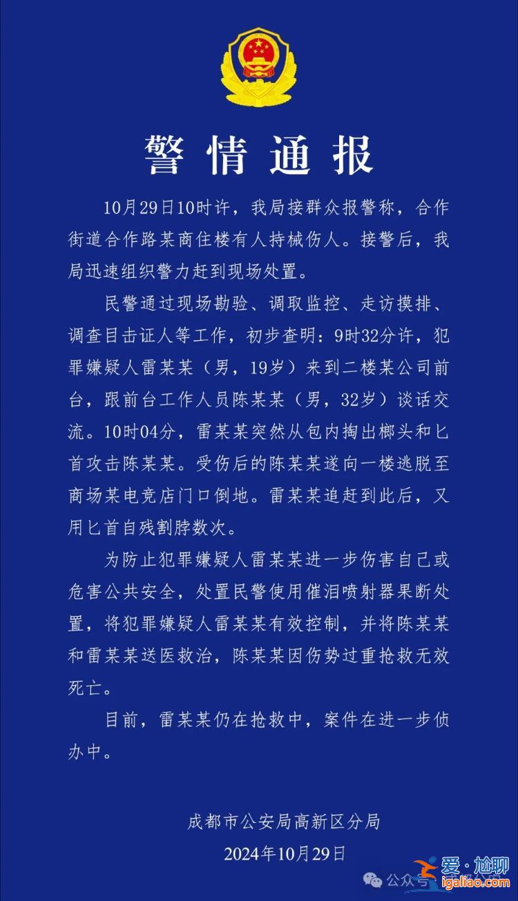 19歲男子持榔頭匕首殺害一公司前臺(tái)人員后自殘 成都警方通報(bào)？
